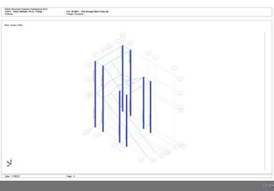 Column Cross-Section Details